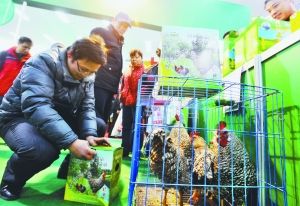 农副产品直销展销会 800多种产品引近万市民“血拼”