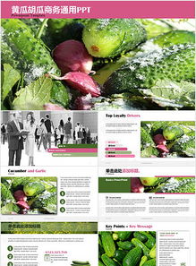绿色果蔬营销推广PPT 专业模板助力农副产品高效销售