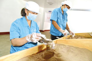 坚定信心迎难而上，以食品销售为支点决战决胜脱贫攻坚