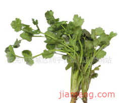 莱芜市莱城区润宇农副产品购销站加盟连锁 开启财富与健康新篇章